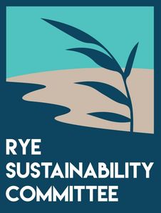 Rye Sustainability