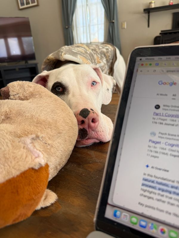 Dog resting head on table near a laptop and a stuffed toy.