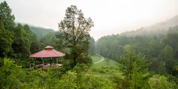 Gazebo in a misty forest landscape.