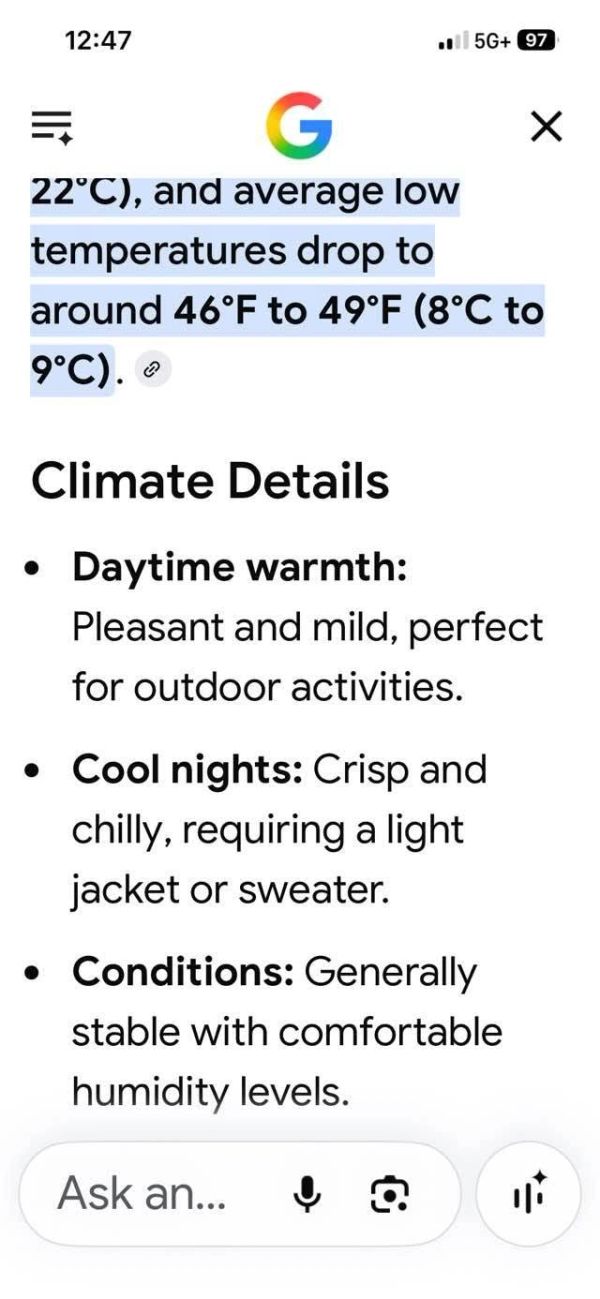 average weather forecast
