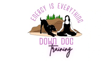 Down Dog Training 