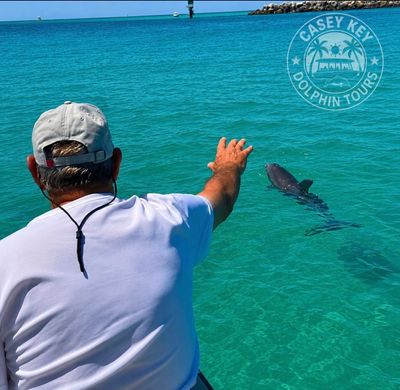 Casey Key Dolphin Tours