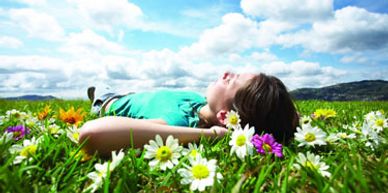 NET Neuro-emtional mind body 
imbalance
balance
healing