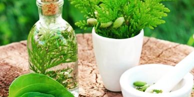 Herbs Individualized 
Chinese Medicine
Treatment
Healing