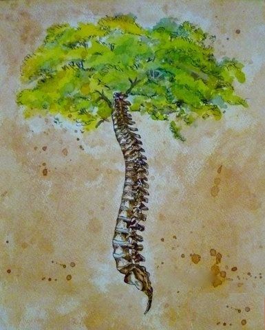 Center for Chiropractic & Wellness - Chiropractor in Raleigh