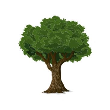 a large tree