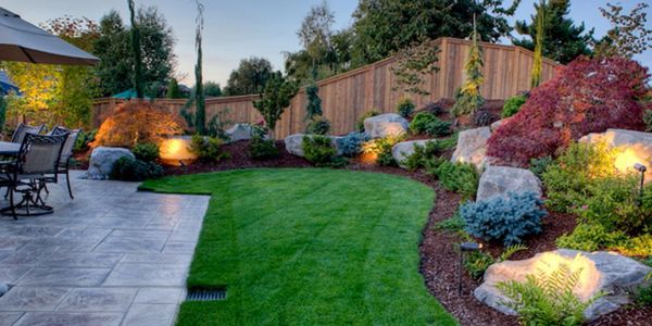 mowed lawn
