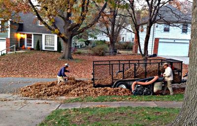 two men raking leaves into a trailer