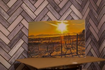11"x17" Winter Vineyard Sunrise