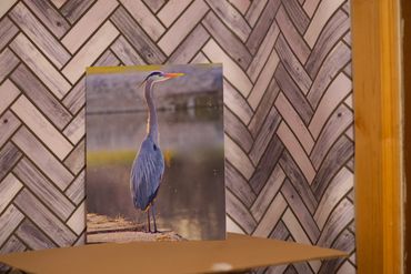 14"x11" Blue Heron