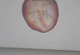 fiberglass repair. fiberglass hull repair. fiberglass boat repair. fiberglass repair boat