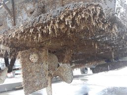 fiberglass repair. fiberglass hull repair. fiberglass boat repair. fiberglass repair boat