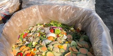 food waste processing 
depackaging
landfill diversion 
sustainability
organic recycling