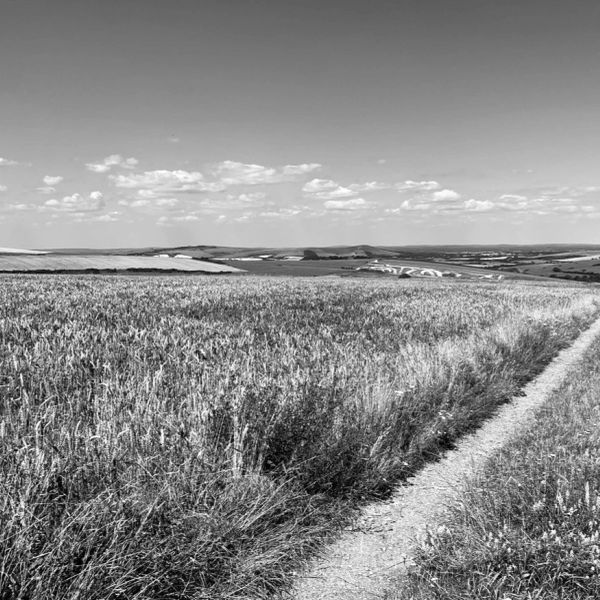Black and white photo of a rural dirt path alongside a vast field under a partly cloudy sky.