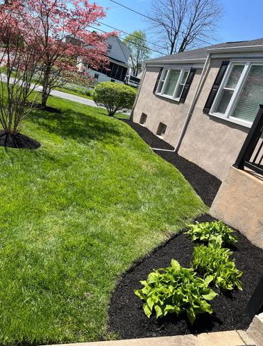 Freshly mulched garden beds with green shrubs and a blooming tree beside a house on a sunny day.