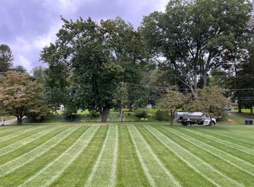 A freshly mowed lawn with striped grass and trees in the background under a cloudy sky.