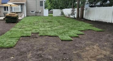 New sod being laid in a backyard, partially covering the soil.