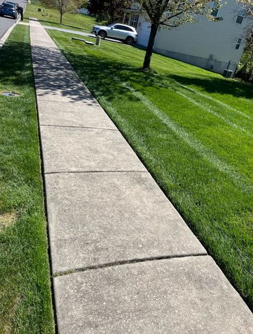 A clean sidewalk with neatly mowed green lawns on both sides.