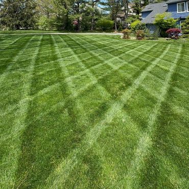 A neatly mowed lawn with a checkered pattern beside a blue house.