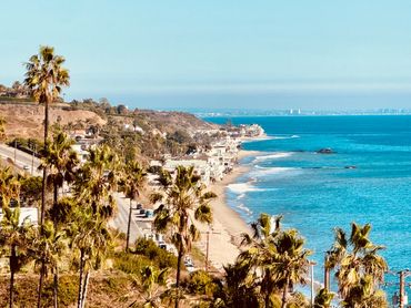 Coastal view with palm trees and houses along the beach.