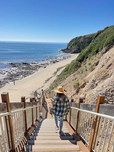 Person walking down stairs to a rocky beach with dogs.