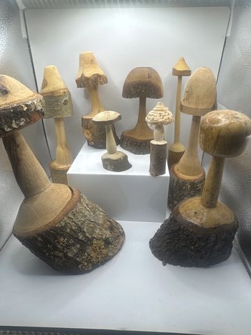 Branch Mushrooms
Various woods