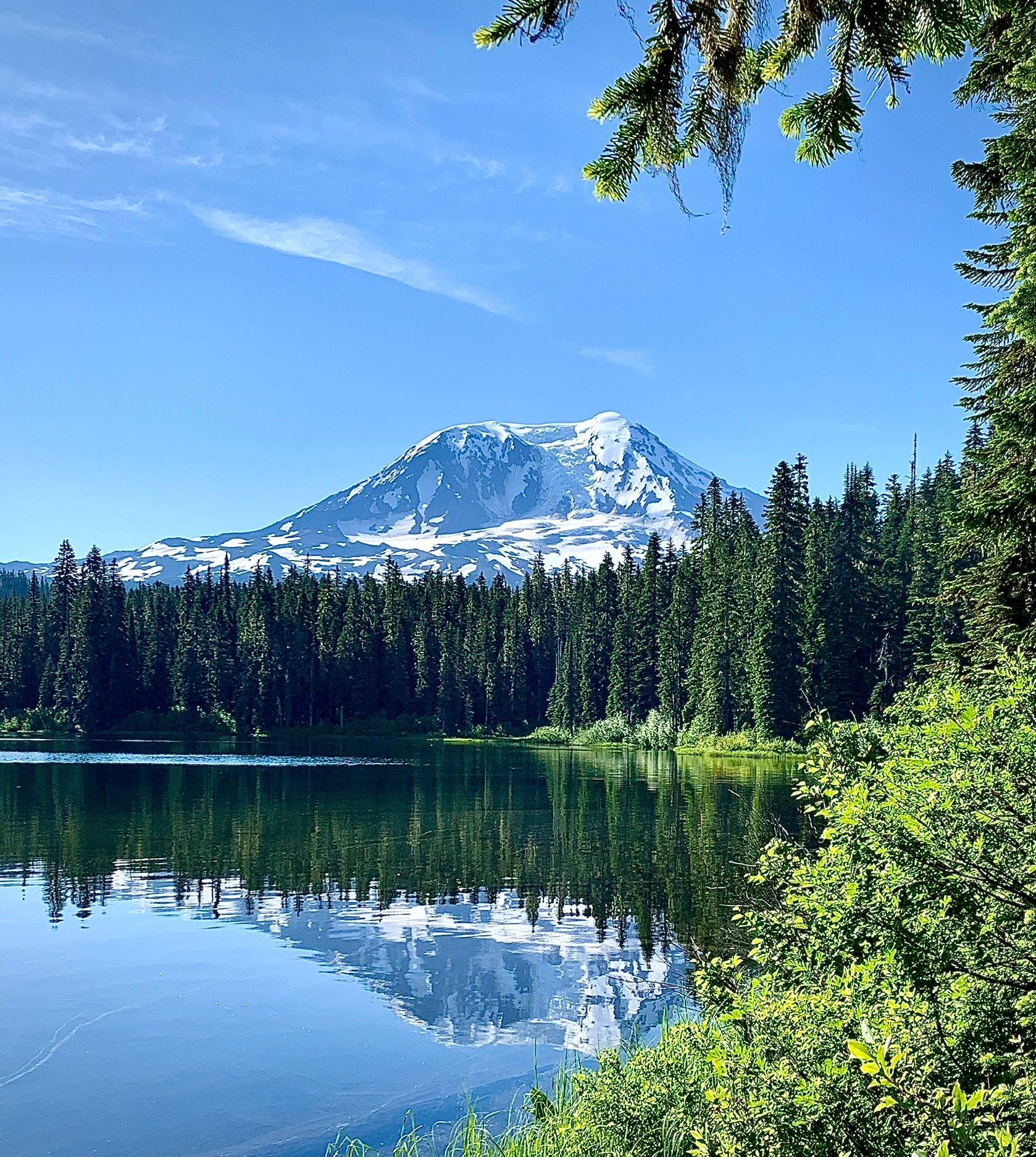 Therapy, teletherapy, Oregon