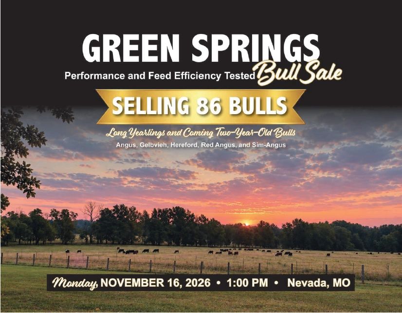 Green springs bull catalog fall 2026