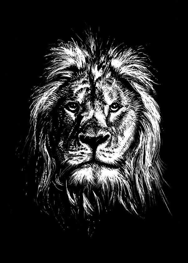 White Acrylic pen on Black paper