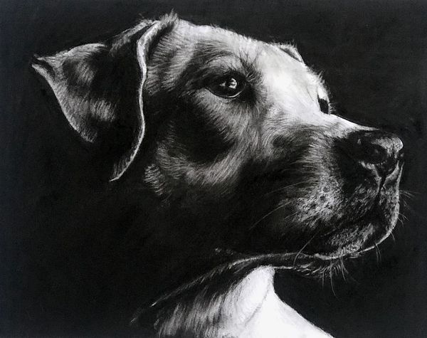 “Mans best friend” A4 Original Charcoal