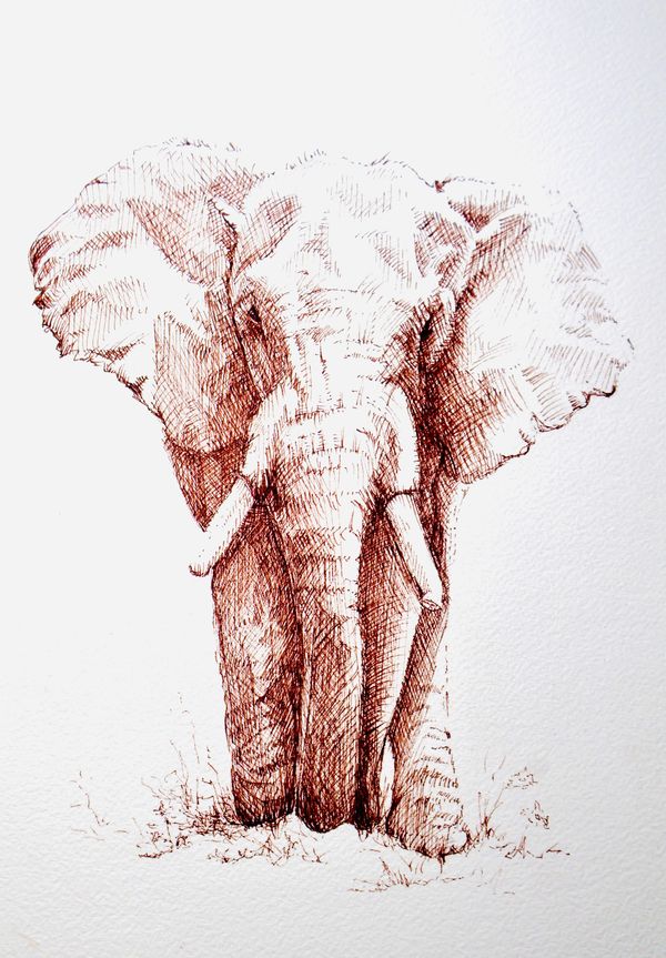 Sepia Pen on Paper