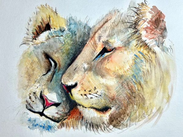 Watercolor painting of two lions nuzzling.