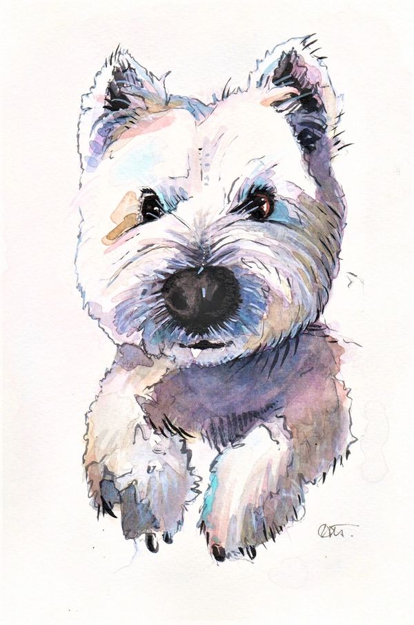 “Max” Pen & Watercolour