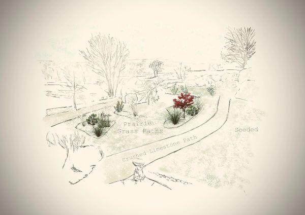 Second Yorkshire garden design, wood flower meadows
