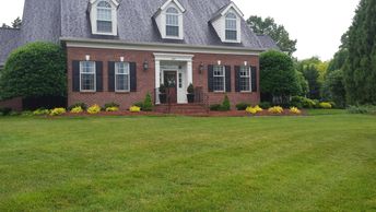 Landscaping in front of home