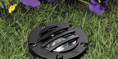 Landscape Lighting In Grade Light