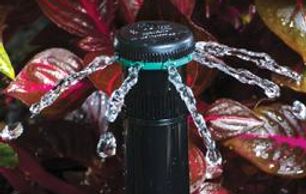 Irrigation
Bubblers & Bubbler Nozzles
Stream Nozzles
Strip Patterns Nozzles
Short Radius Nozzles