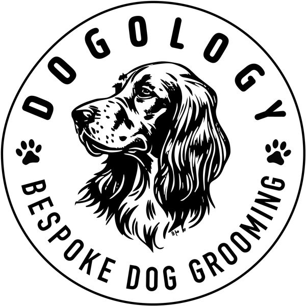 The Logo