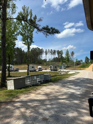 Escape the noise at Huckleberry Hills RV Park, surrounded by towering pines and wrap around the park
