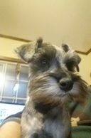 Maggie is here to say hello to all her favorite families that are taking care of her first babies.