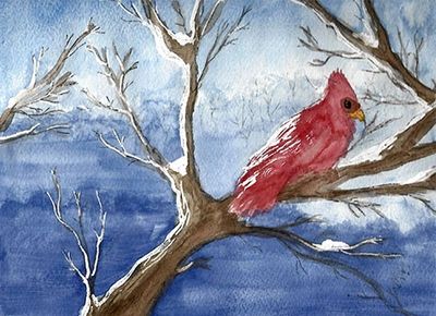 watercolour cardinal by teen