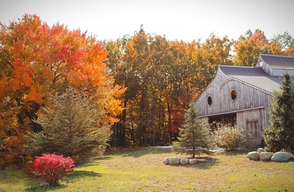 Photo of the Odins Owl venue featuring the owl face surrounded by our forest of fall colors.