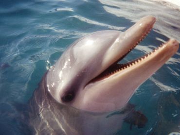 "A smile just for you" by Min Koury Martin