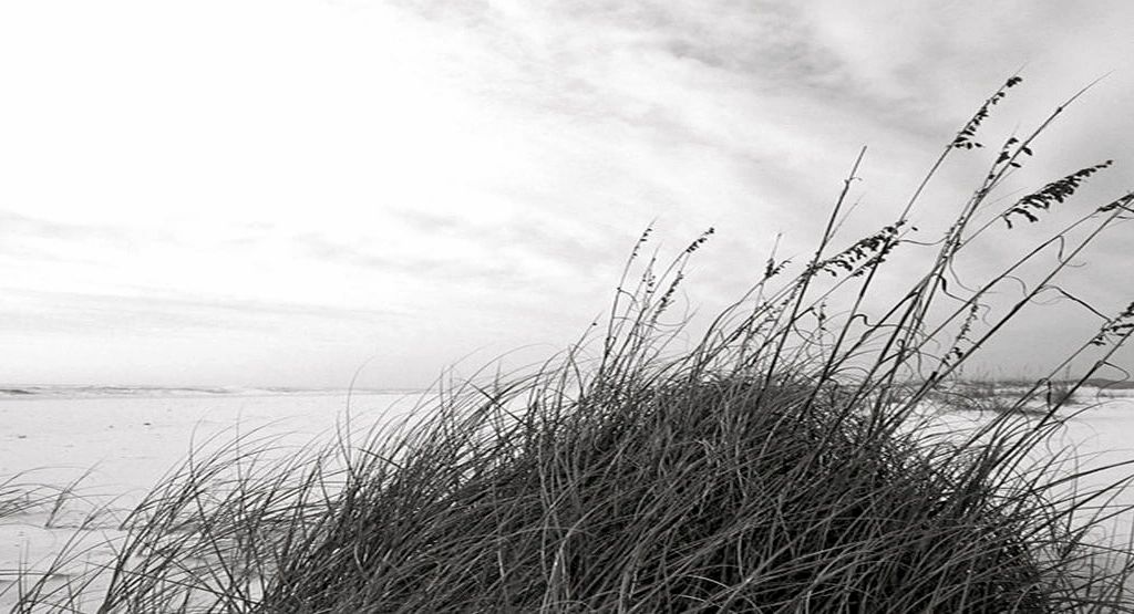 Serenity at The Beach Salon & Spa