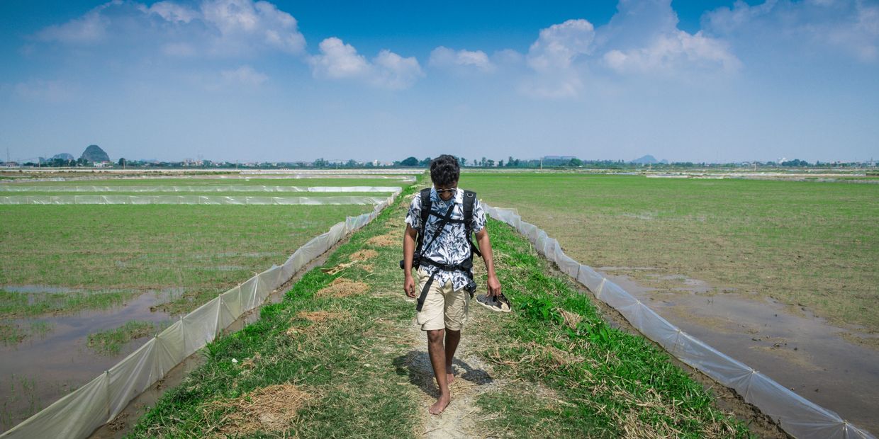 Indian Traveler walking in the fields of Vietnam. - Parag Phadnis