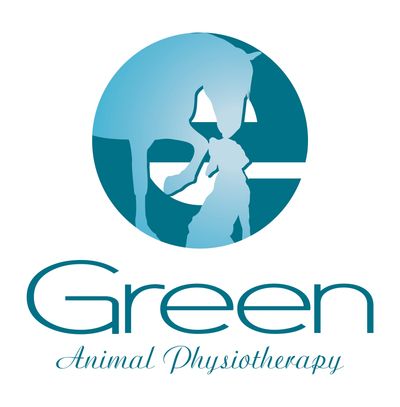 Vet Physio Yorkshire, Yorkshire Vet Physio, Equine Physio Yorkshire, Equine Synergy Vet Physio