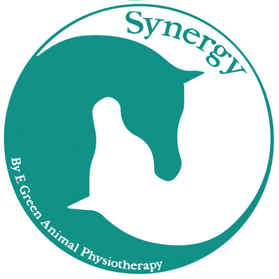 Vet Physio Yorkshire, Yorkshire Vet Physio, Equine Physio Yorkshire, Equine Synergy Vet Physio
