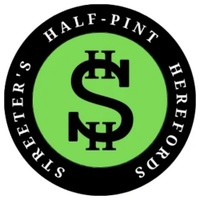 Streeter's half- pint  herefords