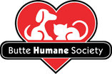Woofstock: a Butte Humane Society festival fundraiser