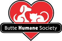 Woofstock: a Butte Humane Society festival fundraiser